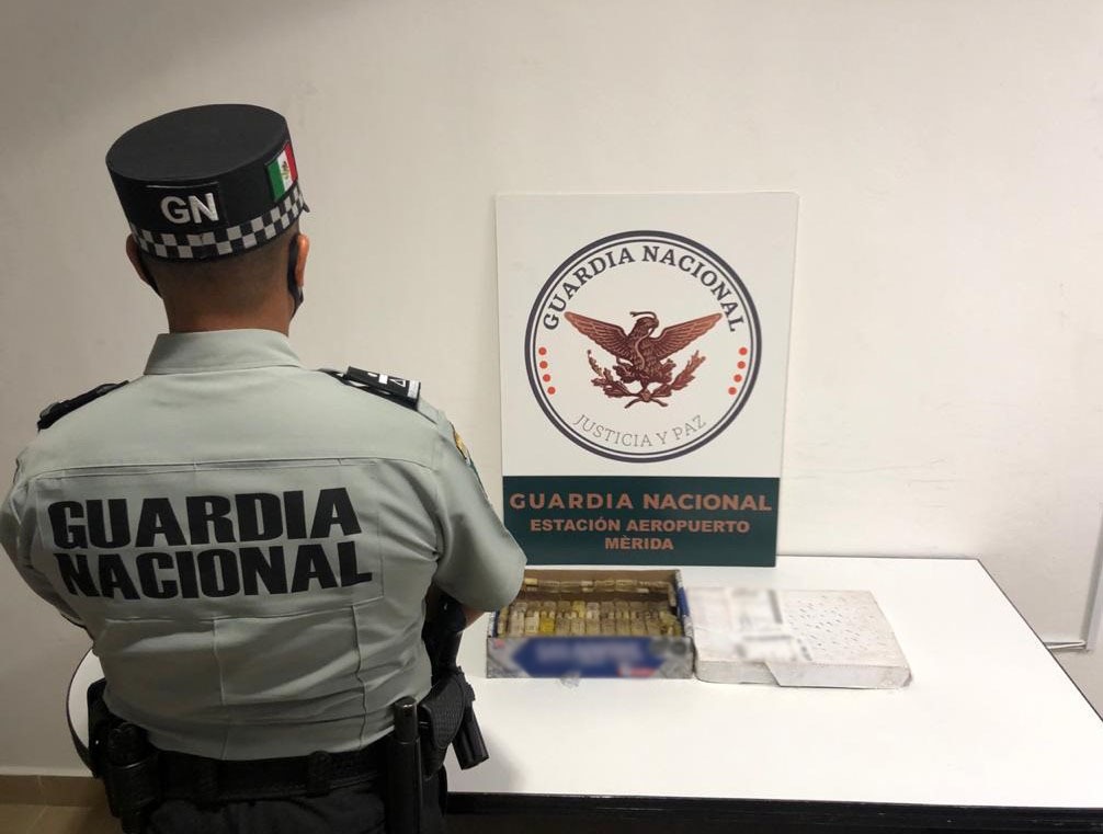 GN rescata ejemplares de abeja africana en aeropuerto de Mérida